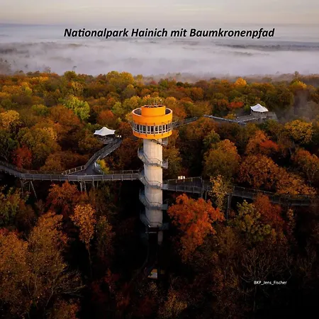 Ringelwiese Schonstedt