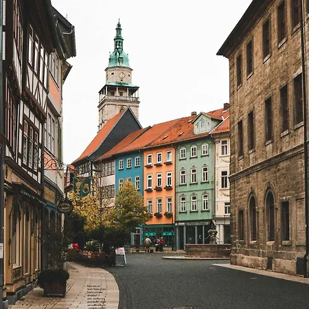 Ringelwiese * Schonstedt