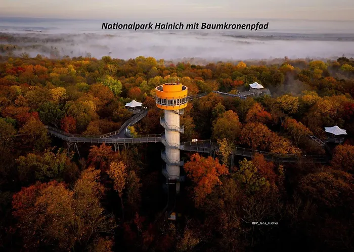 Ringelwiese Schonstedt